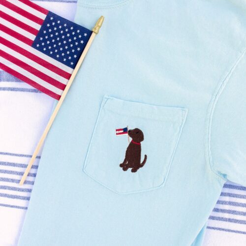 American Pup Embroidered Pocket Tee USA Dog Shirt 4th of July Patriotic Puppy Long Sleeve & Crewneck Sweatshirt image 0