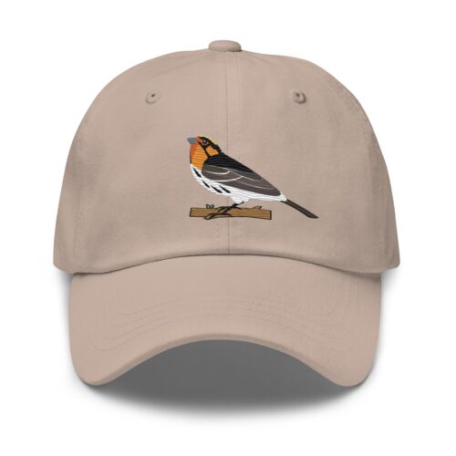 Blackburnian Warbler Embroidered Baseball Cap - Unisex Dad Hat Bird Lover Gift image 0