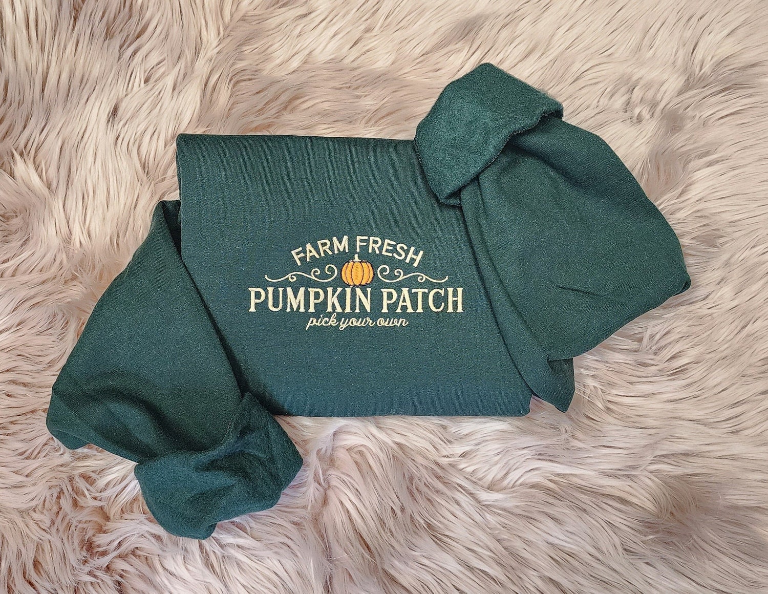 Pumpkin Patch Embroidered Sweatshirt Farm Fresh Design Cozy Hooded Sweatshirt image 1