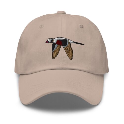 Long Tailed Duck Embroidered Hat for Bird Watchers - Wildlife Nature Cap for Men and Women image 0