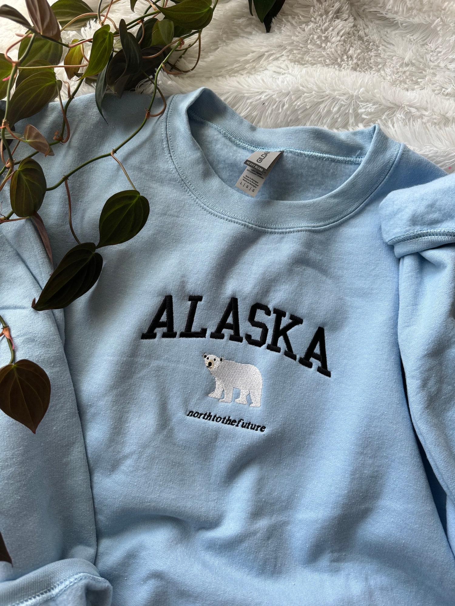 Alaska Embroidered Sweatshirt Alaska Souvenir Gift Cute Crewneck for Her and Him image 1